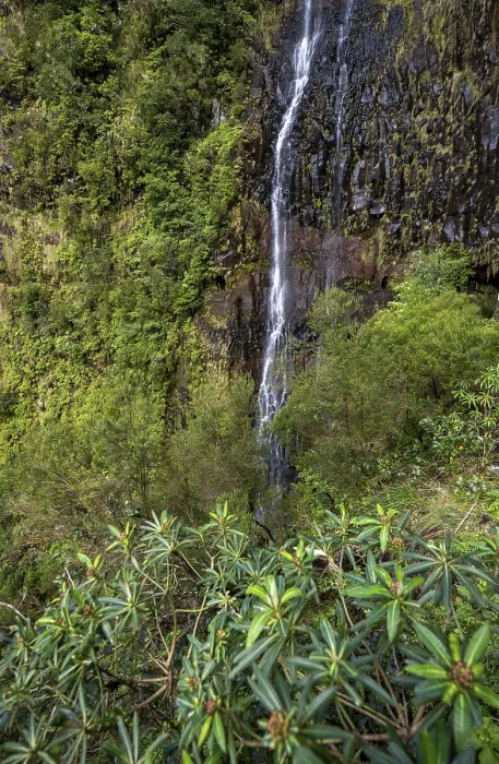 Framed Print : Rabacal Cascata do Risco Waterfall Print, Madeira, Portugal Framed Print : Rabacal Cascata do Risco Waterfall Print, Madeira, Portugal