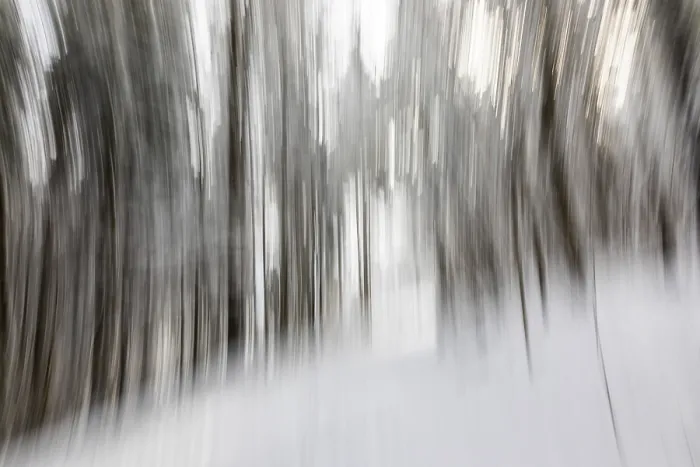 Framed Print : Winter Forest Print, Leoben, Austria Framed Print : Winter Forest Print, Leoben, Austria