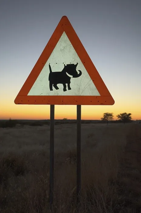 Framed Print : Caution Label to Beware of Warthogs Print, Windhoek, Namibia Framed Print : Caution Label to Beware of Warthogs Print, Windhoek, Namibia