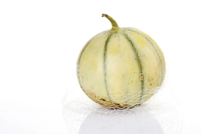 Framed Print : Cavaillon Melon and Charentais Melon Print Framed Print : Cavaillon Melon and Charentais Melon Print