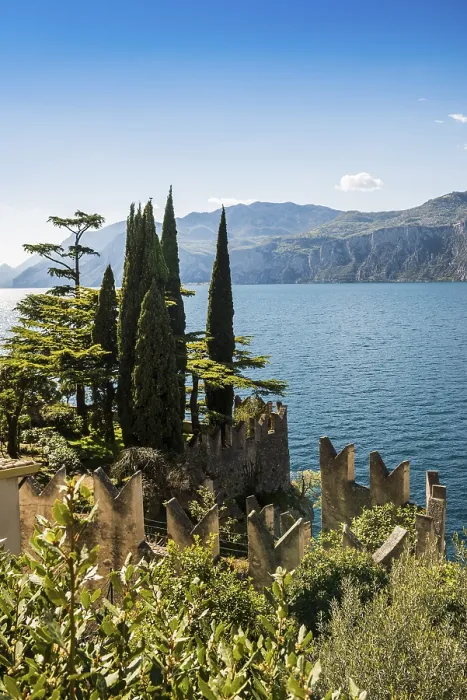 Framed Print : Cedars and Cypresses Print, Malcesine, Lake Garda, Italy Framed Print : Cedars and Cypresses Print, Malcesine, Lake Garda, Italy