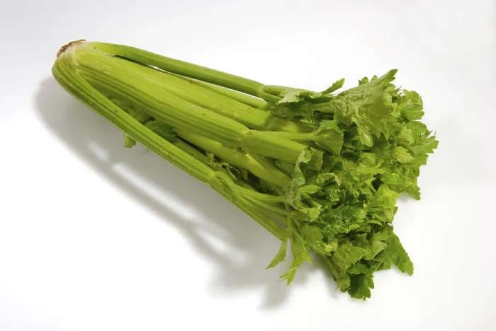 Framed Print : Celery Print by ImageBROKER Framed Print : Celery Print by ImageBROKER