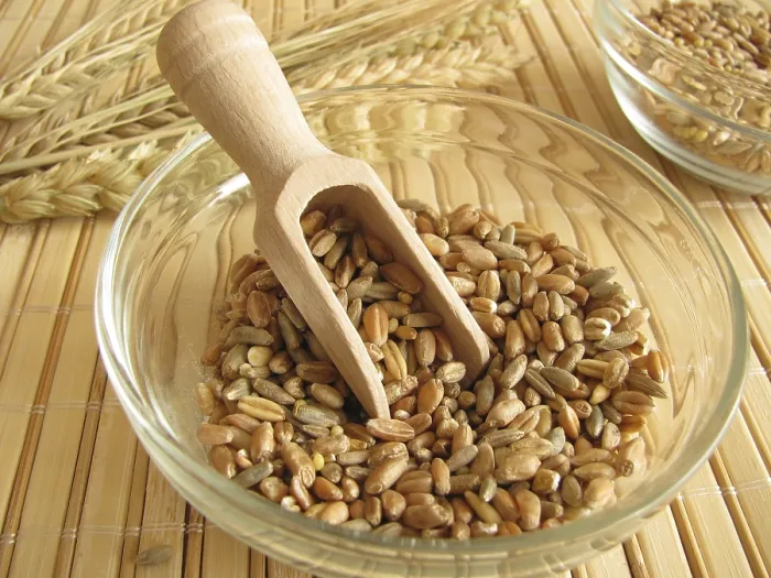 Framed Print : Cereal Mixture Print