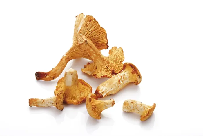 Framed Print : Chanterelles Print on Paper