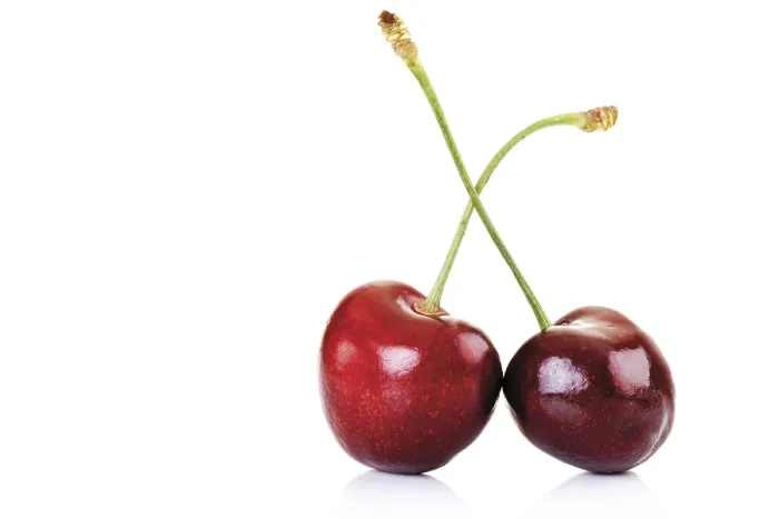 Framed Print : Two Cherries Print Framed Print : Two Cherries Print