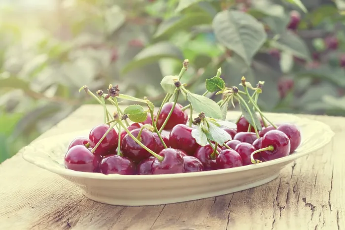 Framed Print : Cherry Cherry Print by Neil Young Framed Print : Cherry Cherry Print by Neil Young
