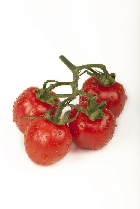 Framed Print : Cherry Tomatoes Print from imageBROKER Framed Print : Cherry Tomatoes Print from imageBROKER