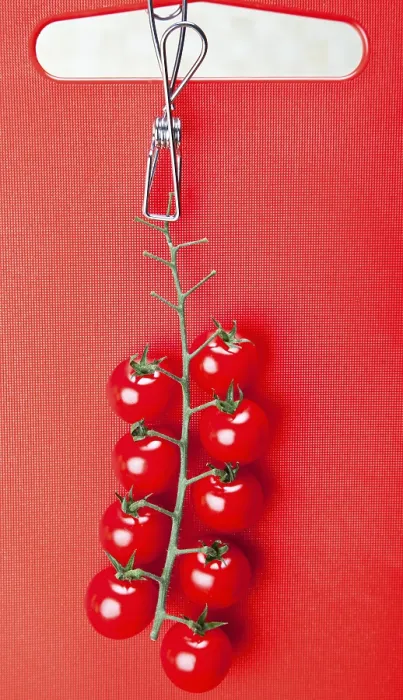 Framed Print : Cherry Tomatoes Print Framed Print : Cherry Tomatoes Print
