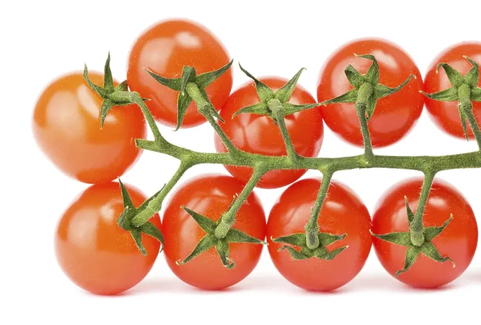 Framed Print : Cherry Tomatoes on White Print Framed Print : Cherry Tomatoes on White Print