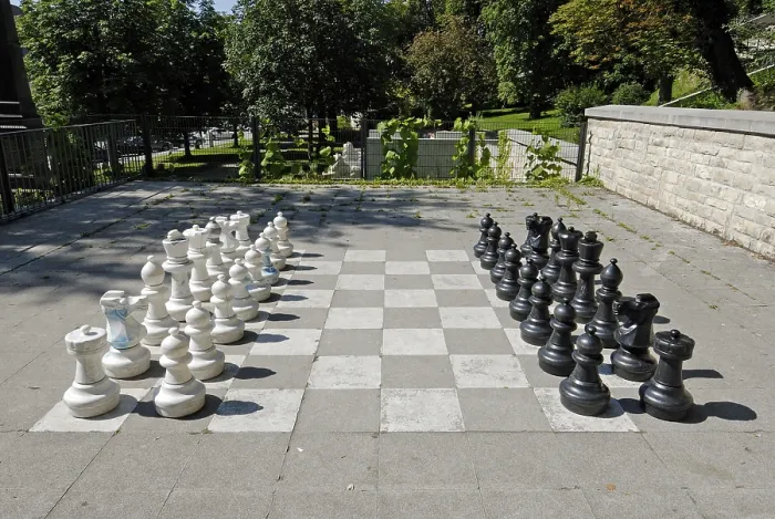 Framed Print : Chess in the Park Print