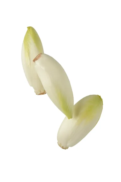 Framed Print : Chicory Print - Studio Shot Against White Background Framed Print : Chicory Print - Studio Shot Against White Background