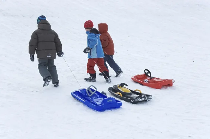 Framed Print : Three children are pulling their sledge up the hill, Print Framed Print : Three children are pulling their sledge up the hill, Print