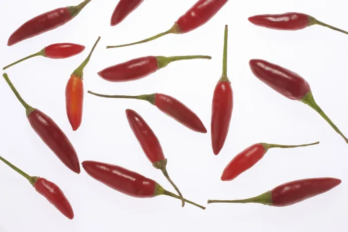 Framed Print : Chilies Print Framed Print : Chilies Print