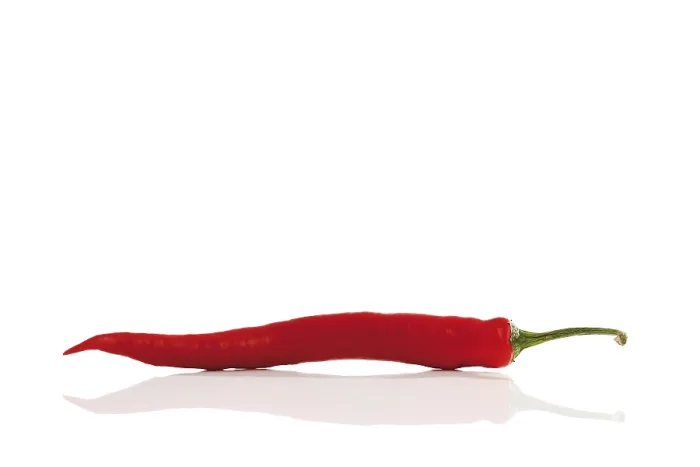 Framed Print : Chilli Pepper (Capsicum) Print Framed Print : Chilli Pepper (Capsicum) Print