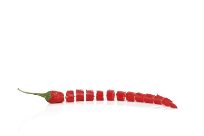 Framed Print : Chilli Pepper (Capsicum) Print Framed Print : Chilli Pepper (Capsicum) Print