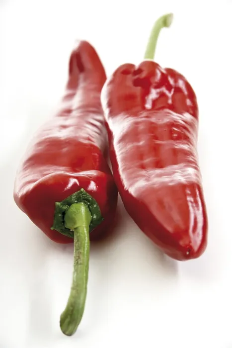 Framed Print : Two Chilli Peppers Print Framed Print : Two Chilli Peppers Print