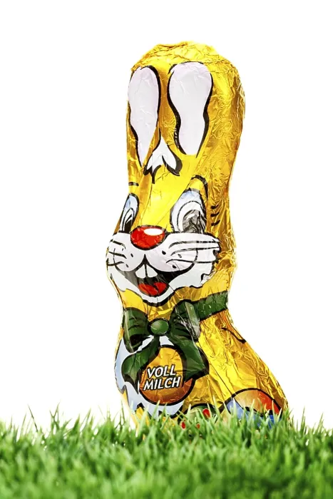 Framed Print : Chocolate Easter Bunny Print on Grass Framed Print : Chocolate Easter Bunny Print on Grass