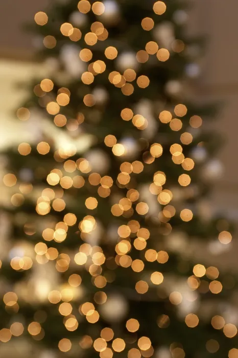 Framed Print : Christmas Tree Print Framed Print : Christmas Tree Print