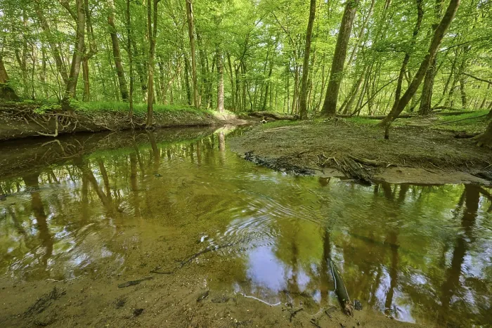 Framed Print : Au Forest Stream Print, Hesse, Germany