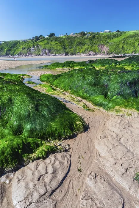Framed Print : Bantham Beach Cliffs Print, Devon Coastline Framed Print : Bantham Beach Cliffs Print, Devon Coastline