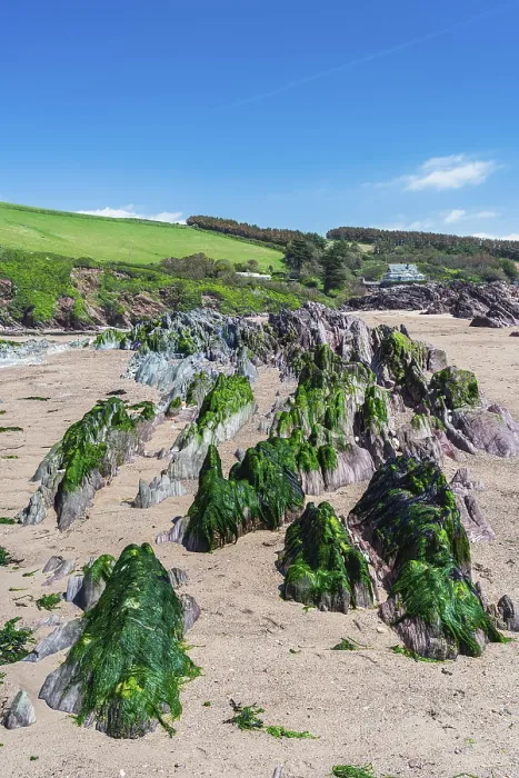 Framed Print : Bantham Beach Cliffs Print, Devon Coastline Framed Print : Bantham Beach Cliffs Print, Devon Coastline