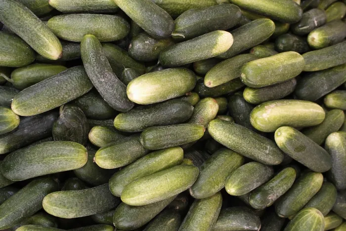 Framed Print : Close up of Stacked Cucumbers Print Framed Print : Close up of Stacked Cucumbers Print