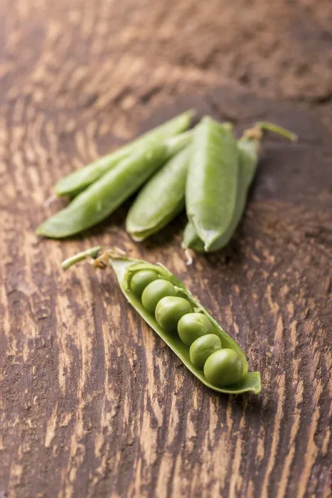 Framed Print : Raw Pea Close-up Print Framed Print : Raw Pea Close-up Print