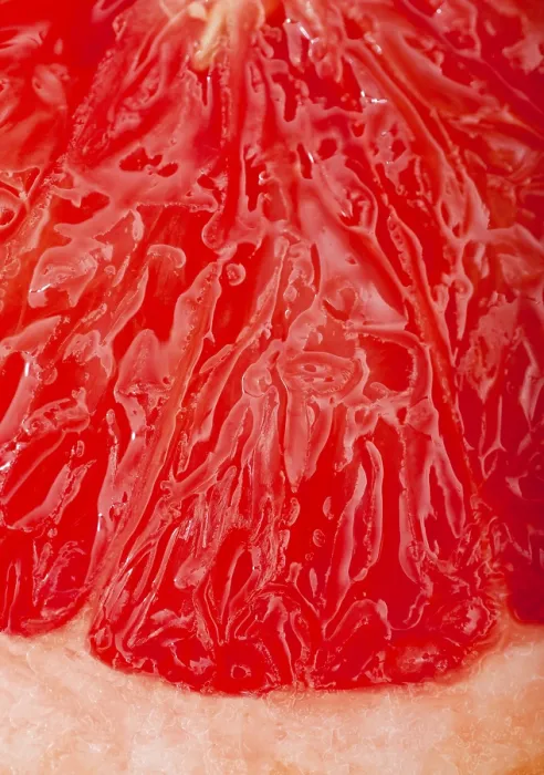 Framed Print : Close-up of sliced grapefruit Print Framed Print : Close-up of sliced grapefruit Print