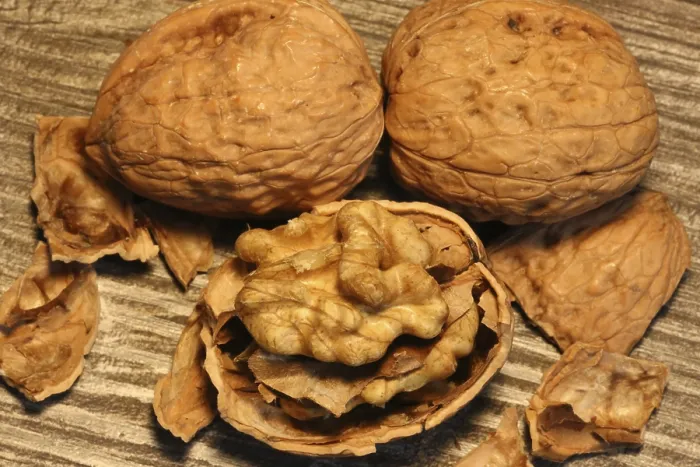 Framed Print : Walnuts on Table Print