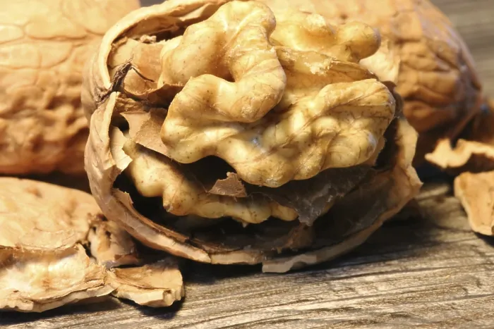 Framed Print : Close-up of walnuts on the table Print Framed Print : Close-up of walnuts on the table Print