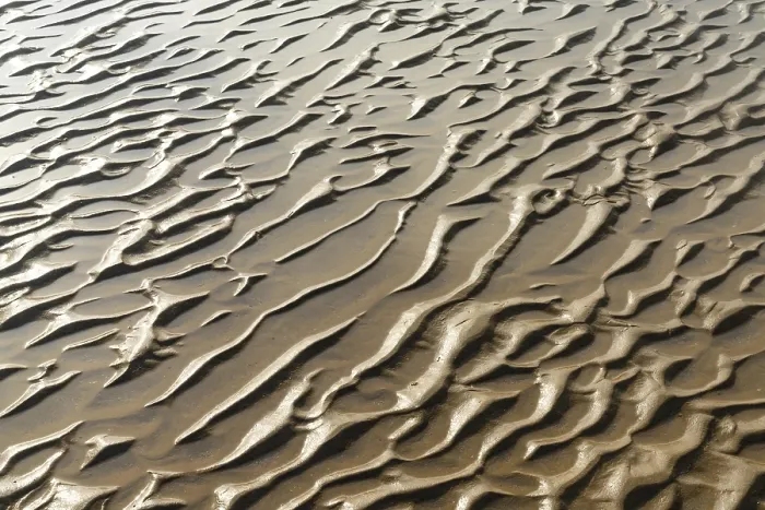 Framed Print : A Close Up View of Beach Sand Structures Print