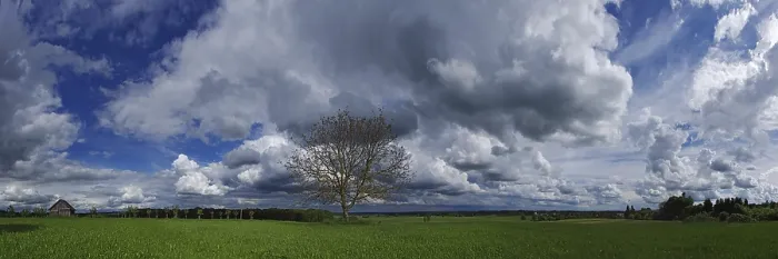 Framed Print : Cloud Formations with Tree Print Framed Print : Cloud Formations with Tree Print