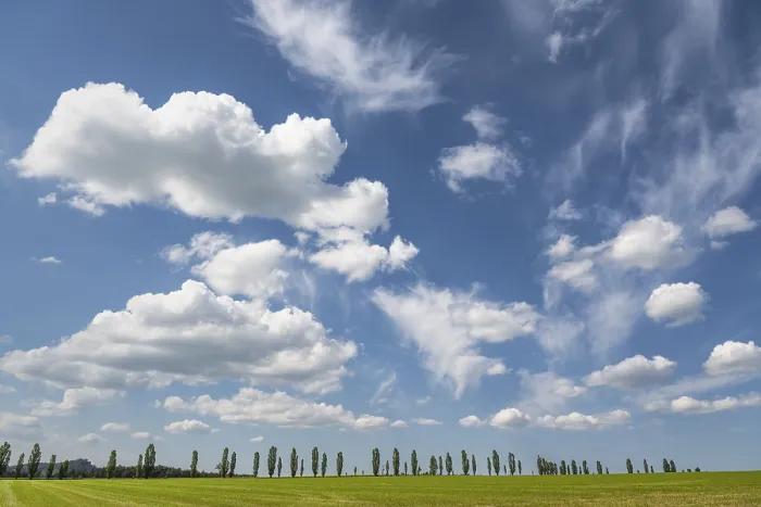 Framed Print : Cloudy sky over poplars, Saxon Switzerland, Germany print Framed Print : Cloudy sky over poplars, Saxon Switzerland, Germany print