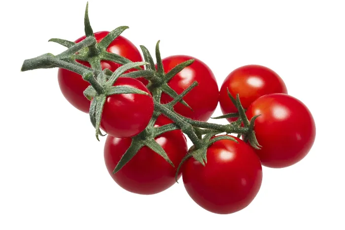 Framed Print : Cluster of Tiny Cherry Tomatoes Print Framed Print : Cluster of Tiny Cherry Tomatoes Print