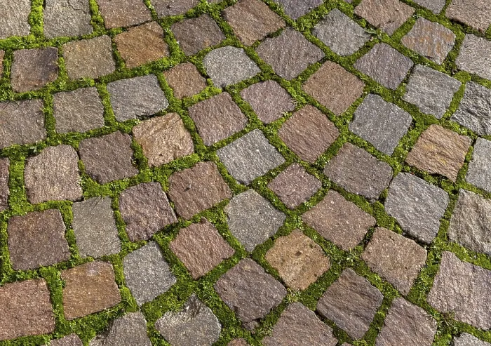 Framed Print : Cobblestones in Germany Print Framed Print : Cobblestones in Germany Print