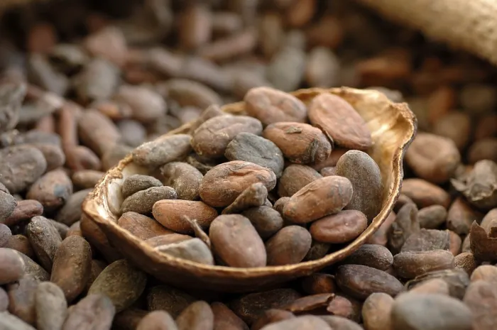 Framed Print : Cocoa Beans Print - High-Quality Image Framed Print : Cocoa Beans Print - High-Quality Image