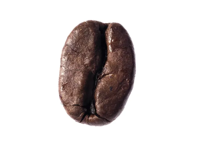Framed Print : Coffee Bean Print