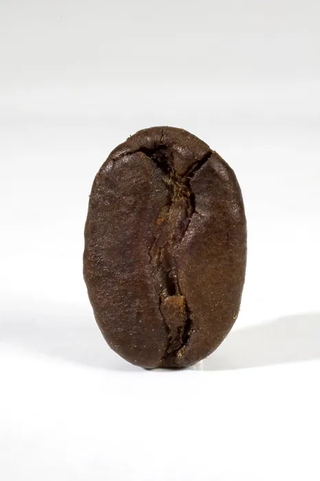Framed Print : Coffee Bean Print, Close-Up Framed Print : Coffee Bean Print, Close-Up
