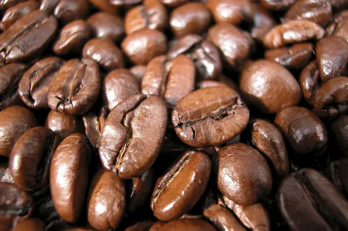 Framed Print : Coffee Beans Print Framed Print : Coffee Beans Print