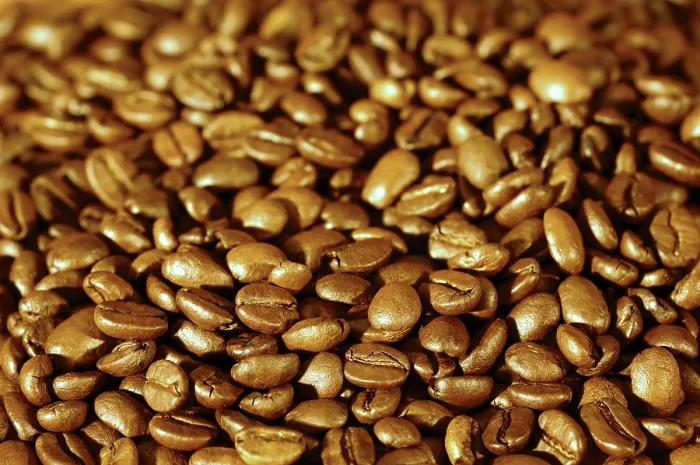 Framed Print : Coffee Beans Print Framed Print : Coffee Beans Print