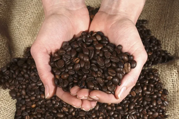 Framed Print : Coffee Beans Print - Roasted Coffee Grains Framed Print : Coffee Beans Print - Roasted Coffee Grains