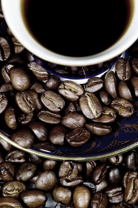 Framed Print : Coffee Bean Print Framed Print : Coffee Bean Print