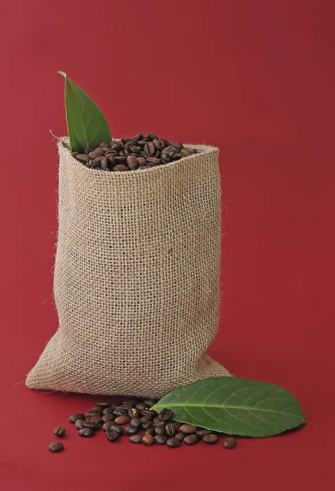 Framed Print : Coffee Beans in Burlap Sack Print Framed Print : Coffee Beans in Burlap Sack Print