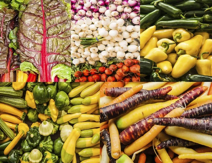Framed Print : Fresh Vegetable Print Collage Framed Print : Fresh Vegetable Print Collage