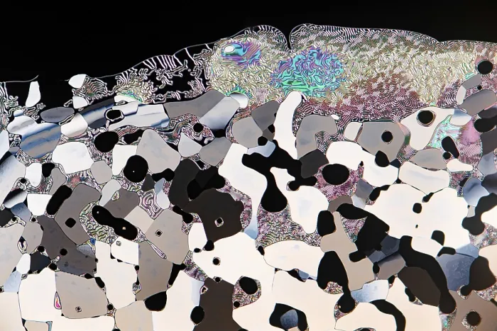 Framed Print : Liquid Crystals Microscope Print Framed Print : Liquid Crystals Microscope Print