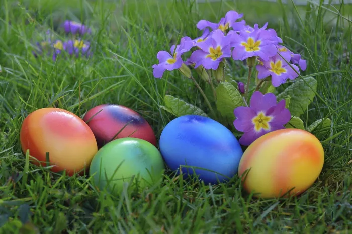 Framed Print : Colorful Easter Eggs in Grass Print Framed Print : Colorful Easter Eggs in Grass Print