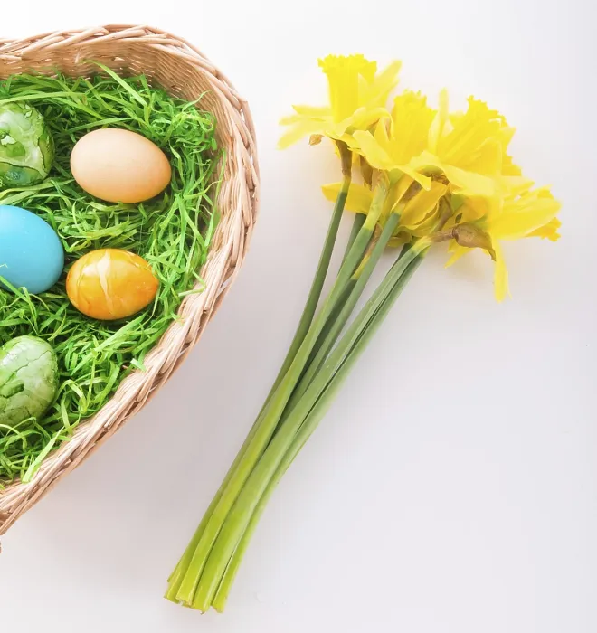 Framed Print : Coloured Eggs Print Framed Print : Coloured Eggs Print