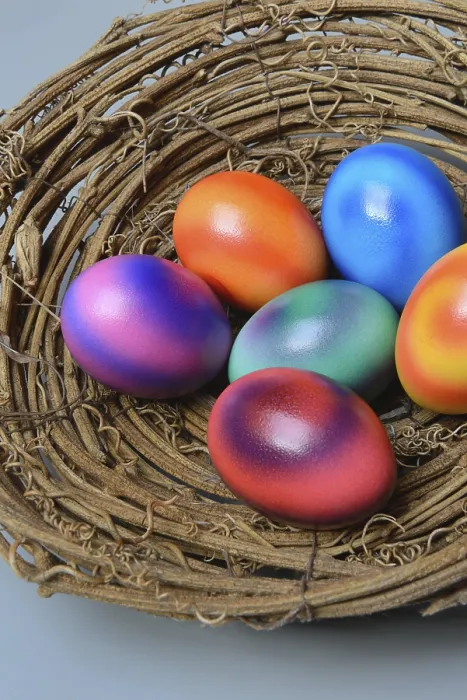 Framed Print : Coloured Eggs in Nest Shell Print, Easter Decoration Framed Print : Coloured Eggs in Nest Shell Print, Easter Decoration
