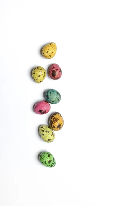 Framed Print : Coloured Quail Eggs, Easter Print, Germany Framed Print : Coloured Quail Eggs, Easter Print, Germany