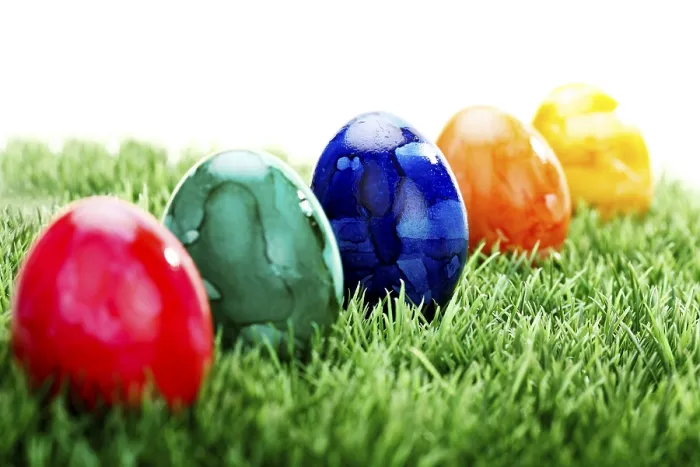 Framed Print : Colourful Easter Eggs on a Lawn Print Framed Print : Colourful Easter Eggs on a Lawn Print